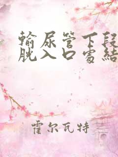 输尿管下段近膀胱入口处结石