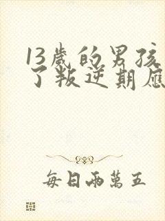 13岁的男孩到了叛逆期应该怎么教