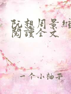 阮想周景维免费阅读全文