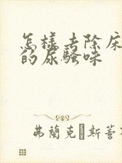 怎样去除床垫上的尿骚味