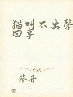 猫叫不出声怎么回事