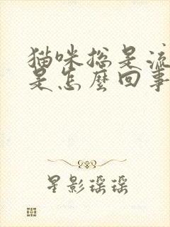 猫咪总是流口水是怎么回事