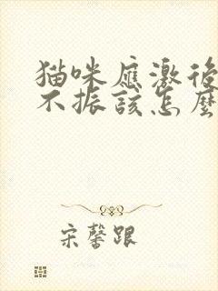 猫咪应激后食欲不振该怎么办