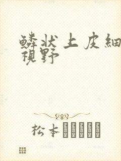 鳞状上皮细胞满视野