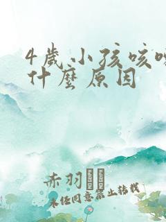 4岁小孩咳嗽是什么原因