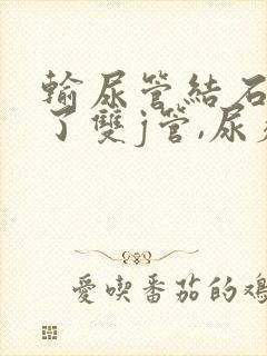 输尿管结石放置了双j管,尿疼尿频