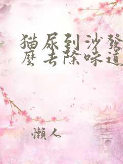 猫尿到沙发上怎么去除味道