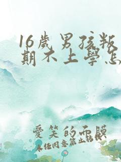 16岁男孩叛逆期不上学怎么办