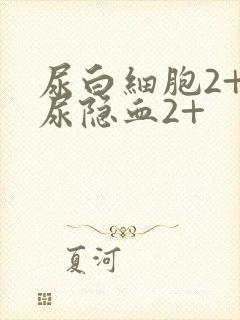 尿白细胞2+,尿隐血2+