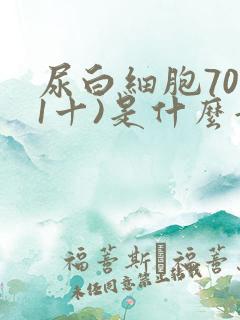 尿白细胞70(1十)是什么意思
