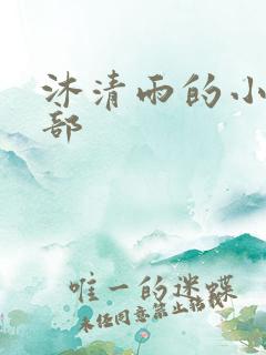 沐清雨的小说全部