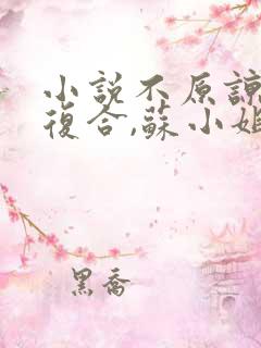 小说不原谅,不复合,苏小姐独美全文