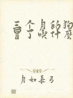 三个月的狗狗感冒了吃什么药