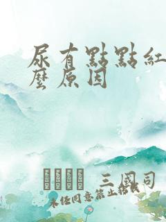 尿有点点红是什么原因