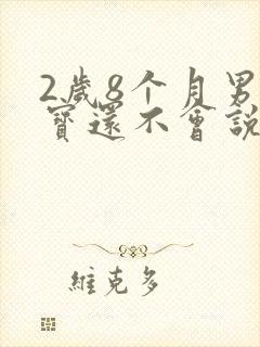 2岁8个月男宝宝还不会说话