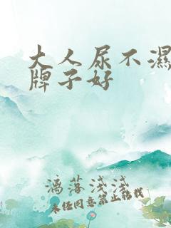 大人尿不湿什么牌子好