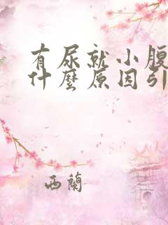 有尿就小腹胀痛什么原因引起的