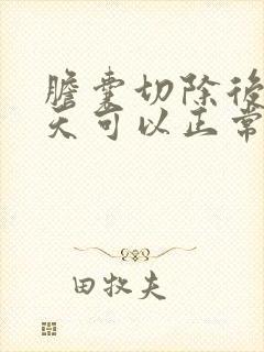 胆囊切除后20天可以正常饮食吗