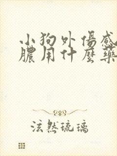 小狗外伤感染化脓用什么药效果好