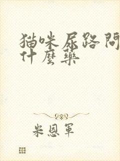 猫咪尿路问题吃什么药