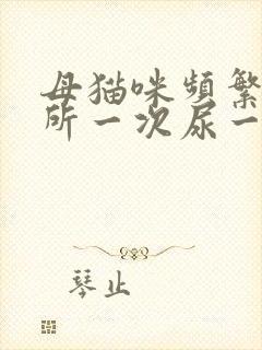 母猫咪频繁上厕所一次尿一点咋回事