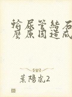 输尿管结石是什么原因造成的