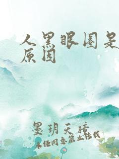 人黑眼圈是什么原因