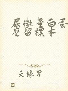 尿微量白蛋白怎么留标本