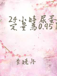 24小时尿蛋白定量为0.95严重吗