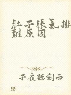 肚子胀气排便困难原因