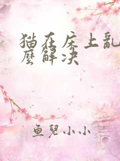 猫在床上乱尿怎么解决