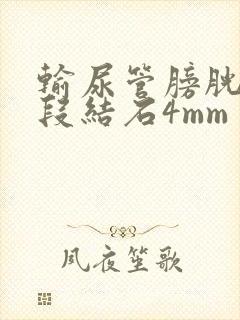 输尿管膀胱壁内段结石4mm