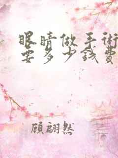 眼睛做手术一般要多少钱费用