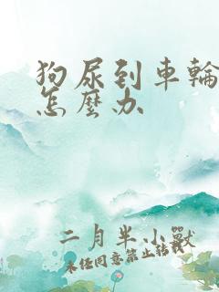 狗尿到车轮胎上怎么办