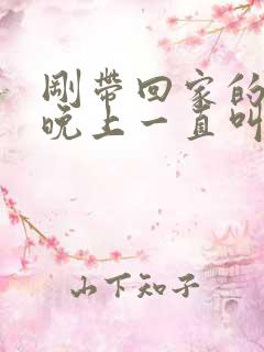 刚带回家的小狗晚上一直叫