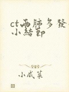 ct两肺多发微小结节