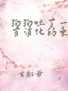 狗狗吐了一堆没有消化的东西怎么办