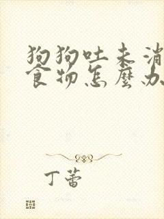 狗狗吐未消化的食物怎么办