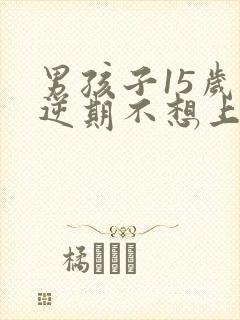 男孩子15岁叛逆期不想上学怎么办