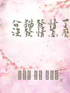 公猫发情了母猫没发情怎么办