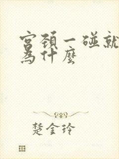 宫颈一碰就出血为什么