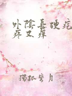 外阴长硬疙瘩又疼又痒