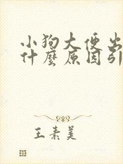 小狗大便出血是什么原因引起的