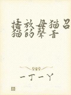 播放母猫召唤小猫的声音