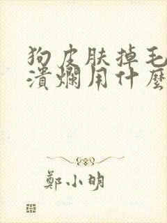 狗皮肤掉毛皮肤溃烂用什么药