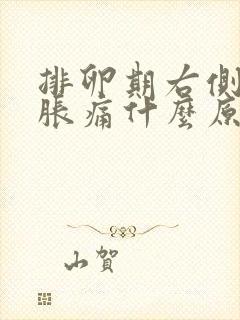 排卵期右侧小腹胀痛什么原因