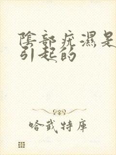 阴部疣湿是怎么引起的