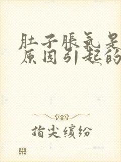 肚子胀气是什么原因引起的