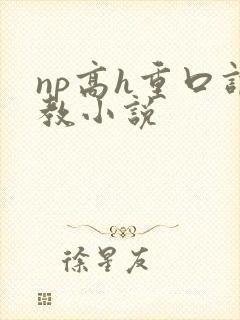 np高h重口调教小说