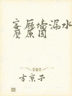 客厅墙漏水是什么原因